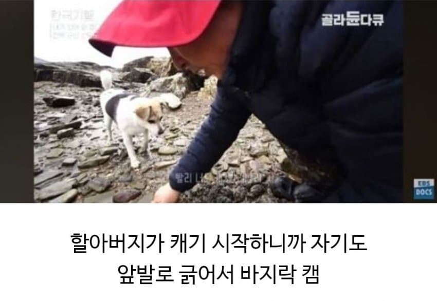 할아버지의 신통방통한 친구.jpg_4.jpg