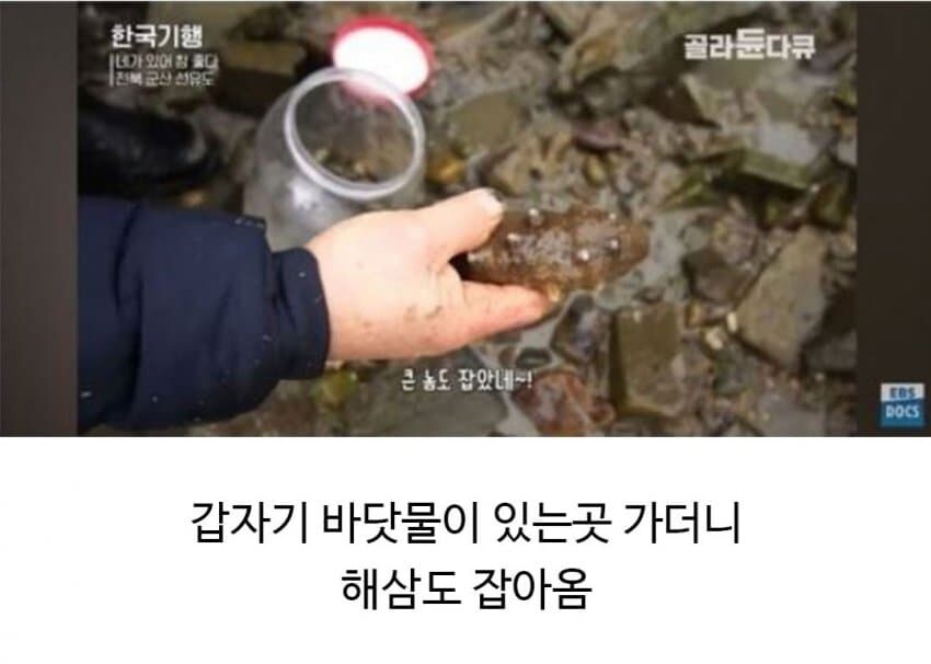 할아버지의 신통방통한 친구.jpg_5.jpg