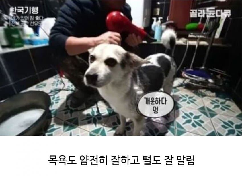 할아버지의 신통방통한 친구.jpg_6.jpg