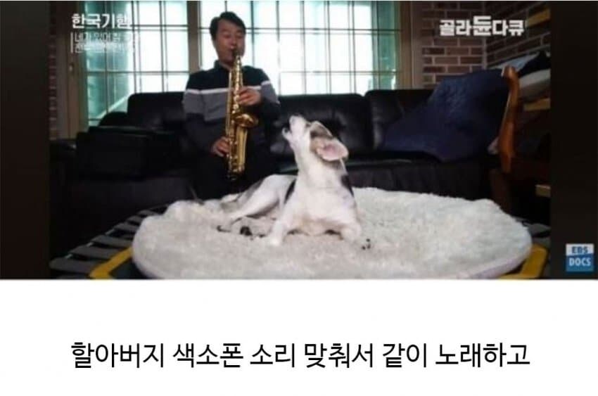 할아버지의 신통방통한 친구.jpg_7.jpg