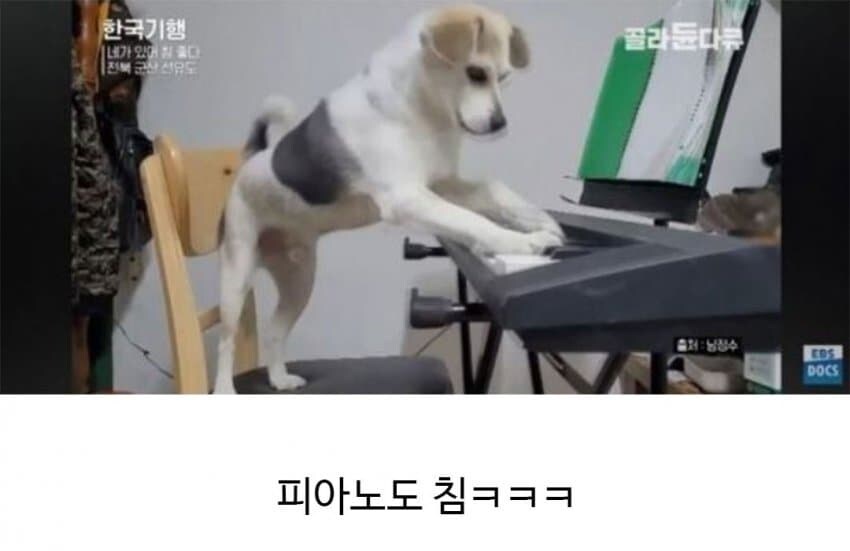 할아버지의 신통방통한 친구.jpg_8.jpg
