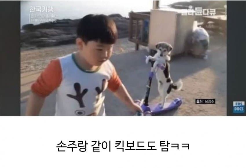 할아버지의 신통방통한 친구.jpg_9.jpg