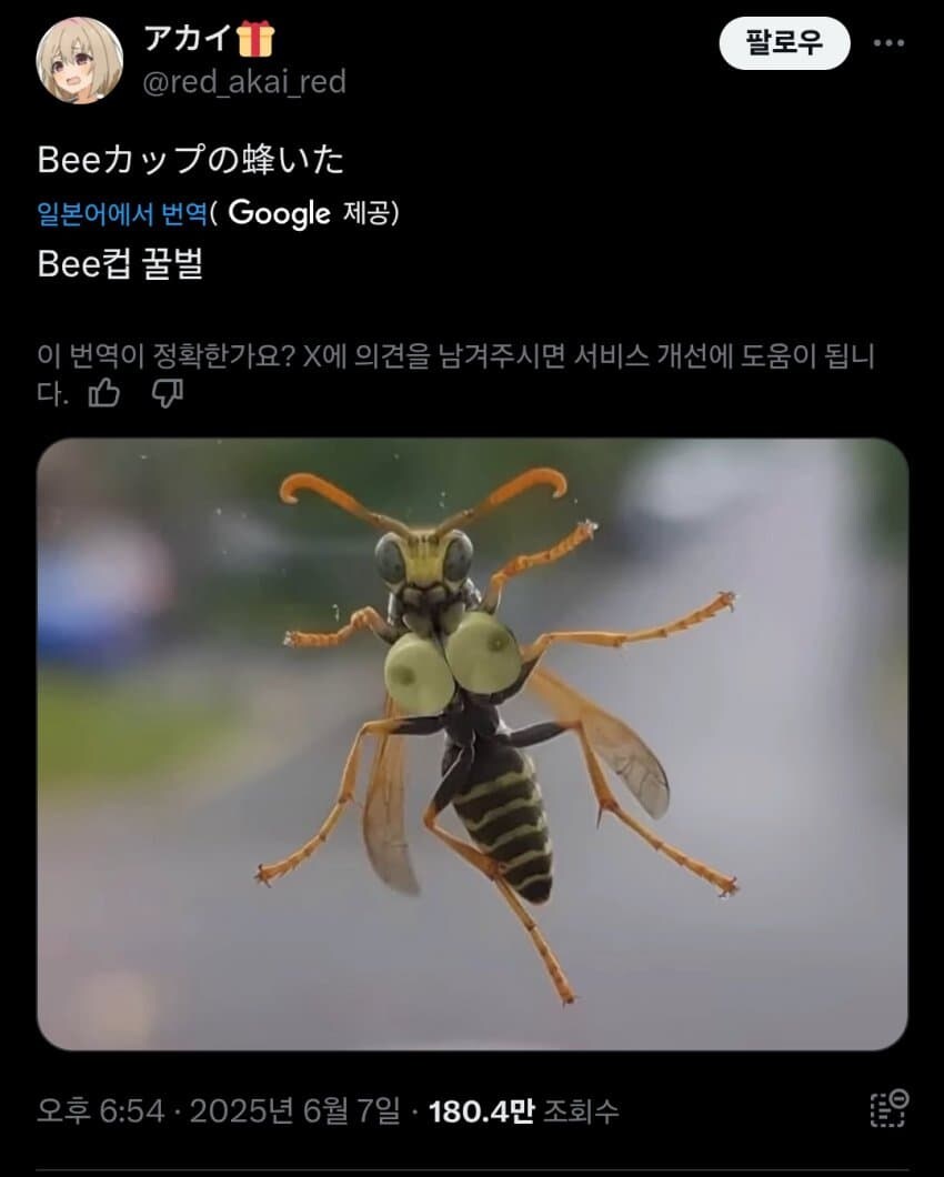 Bee컵 꿀벌_1.jpg