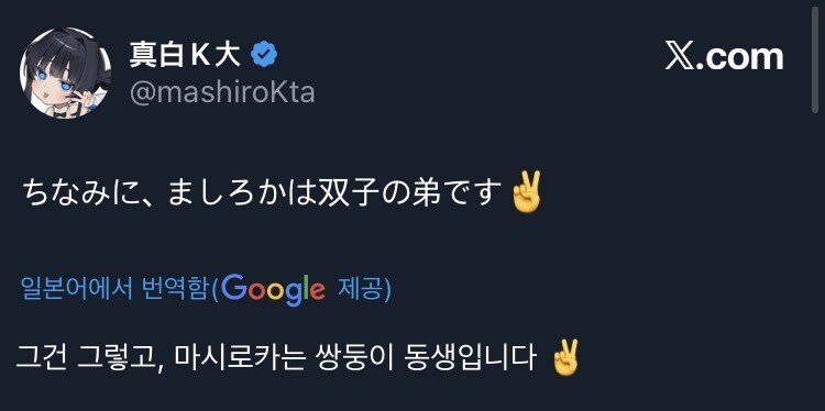쌍둥이 일러스트레이터_2.jpg