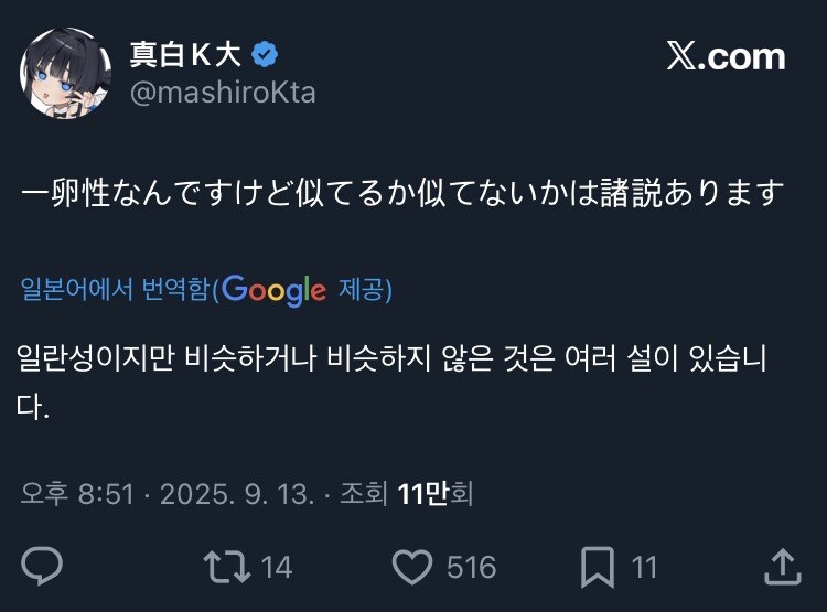 쌍둥이 일러스트레이터_3.jpg