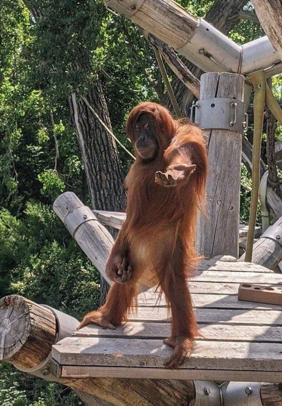 ??? :