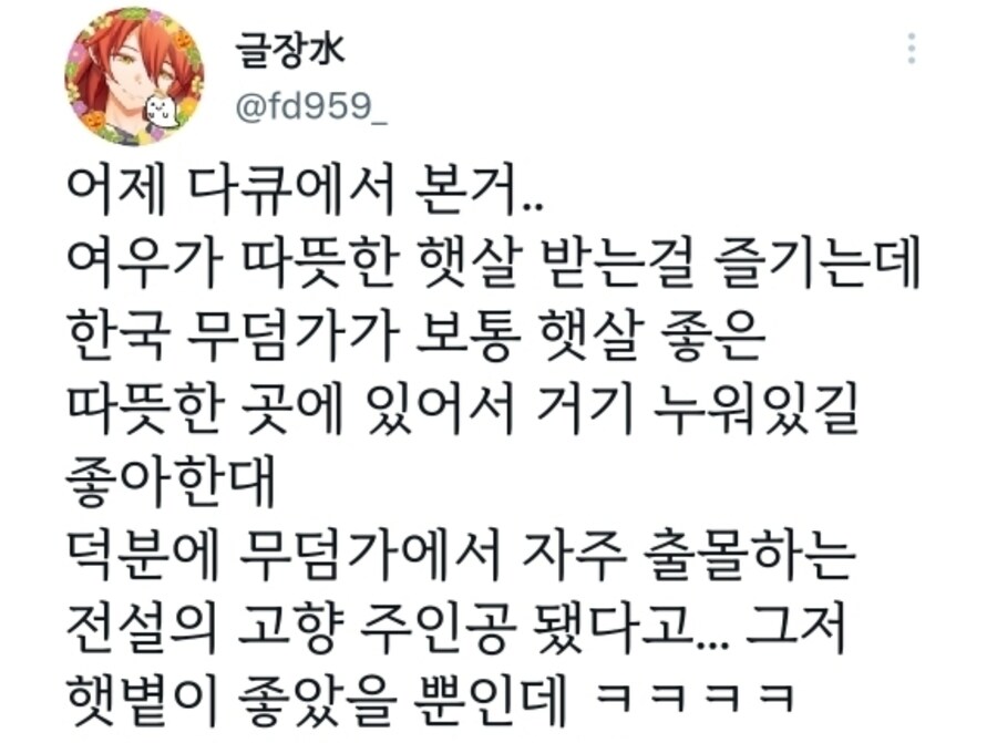 우리나라 여우에 대한 오해와 진실_1.jpg