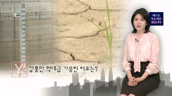 강릉에 가뭄이 온 이유.jpg_1.jpg