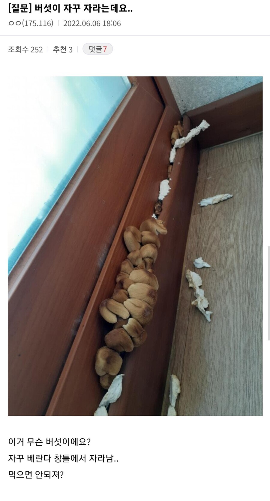 버섯이 자라는 아파트_1.jpg