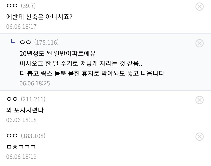 버섯이 자라는 아파트_2.jpg