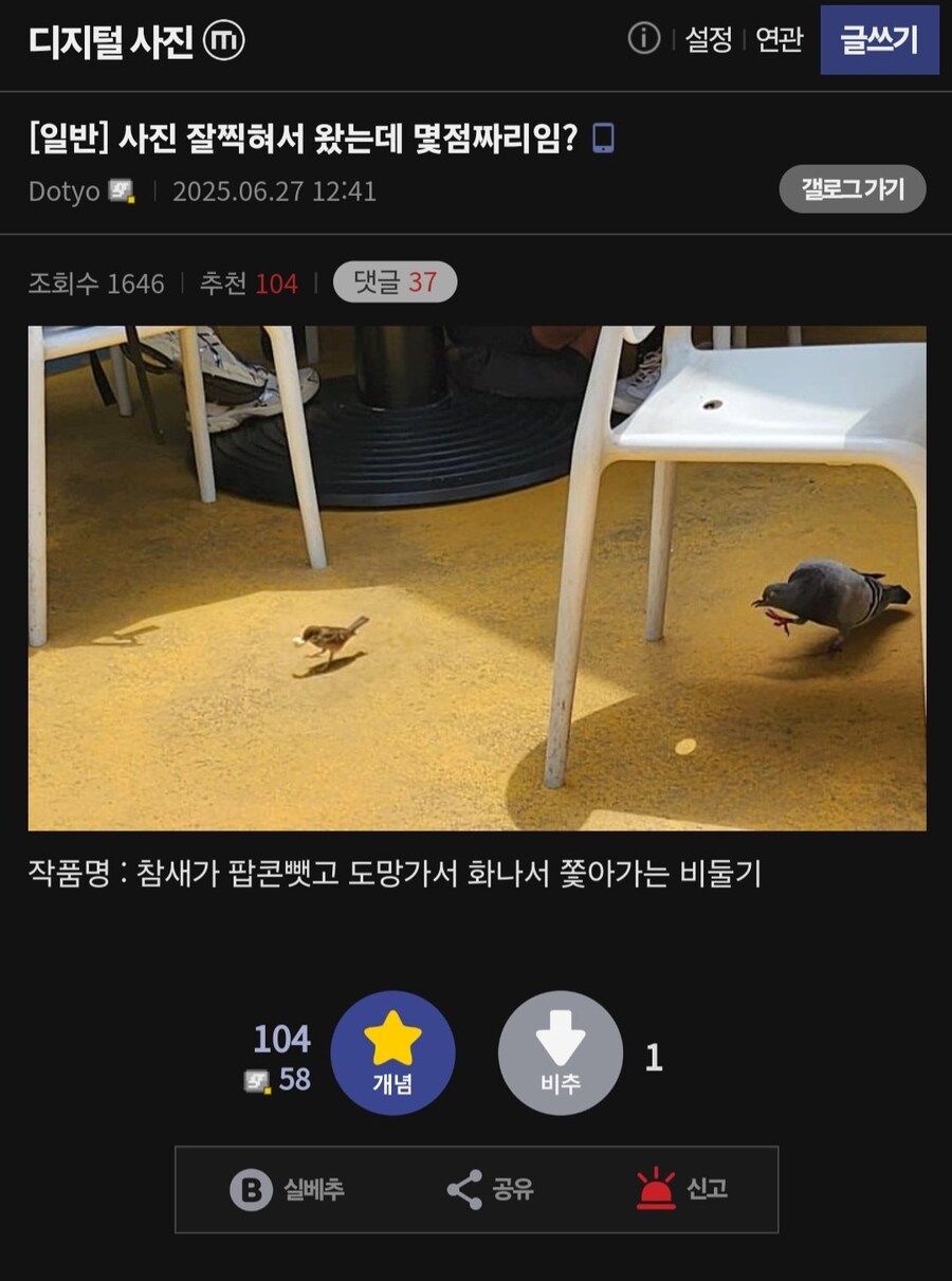 디시 사진갤러가 순간 캡쳐한 사진_1.jpg
