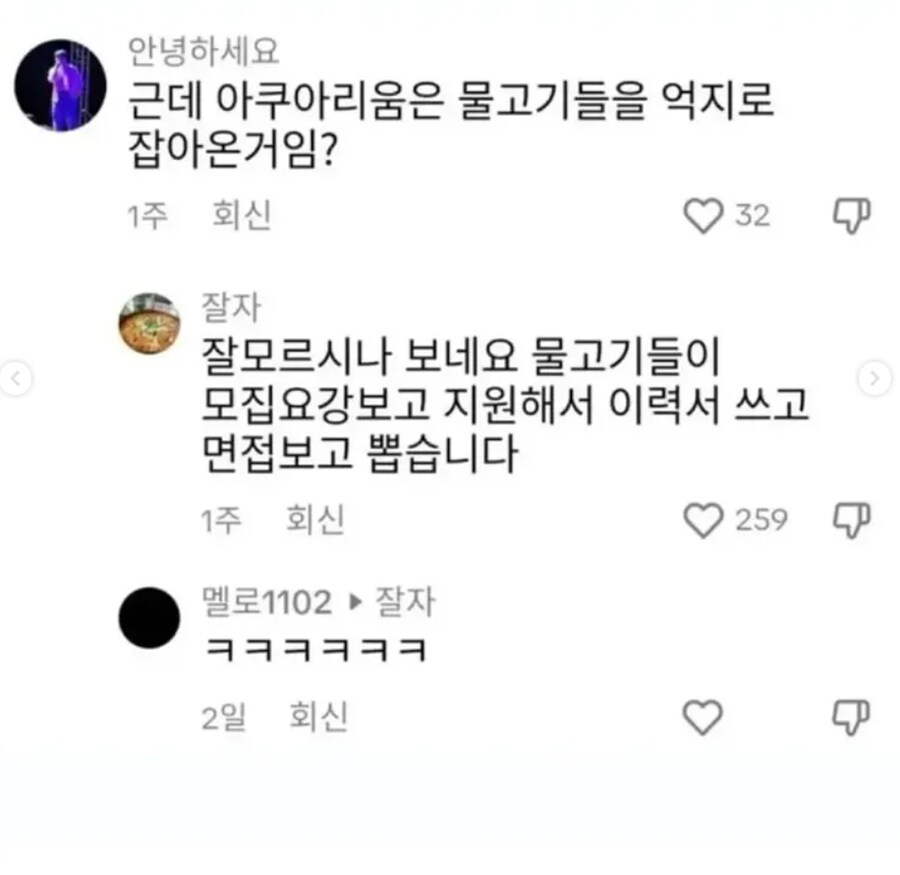 아쿠아리움 들어가기 빡센 이유_2.png