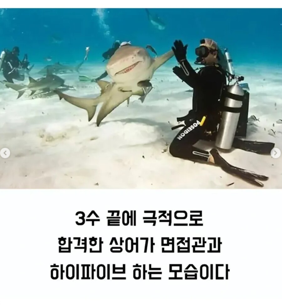 아쿠아리움 들어가기 빡센 이유_3.png