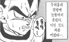 드래곤볼)유머글 좀 쓸려고 베지터 굴욕씬 모아봤는데 개웃김 ㅋㅋㅋ_4.jpg