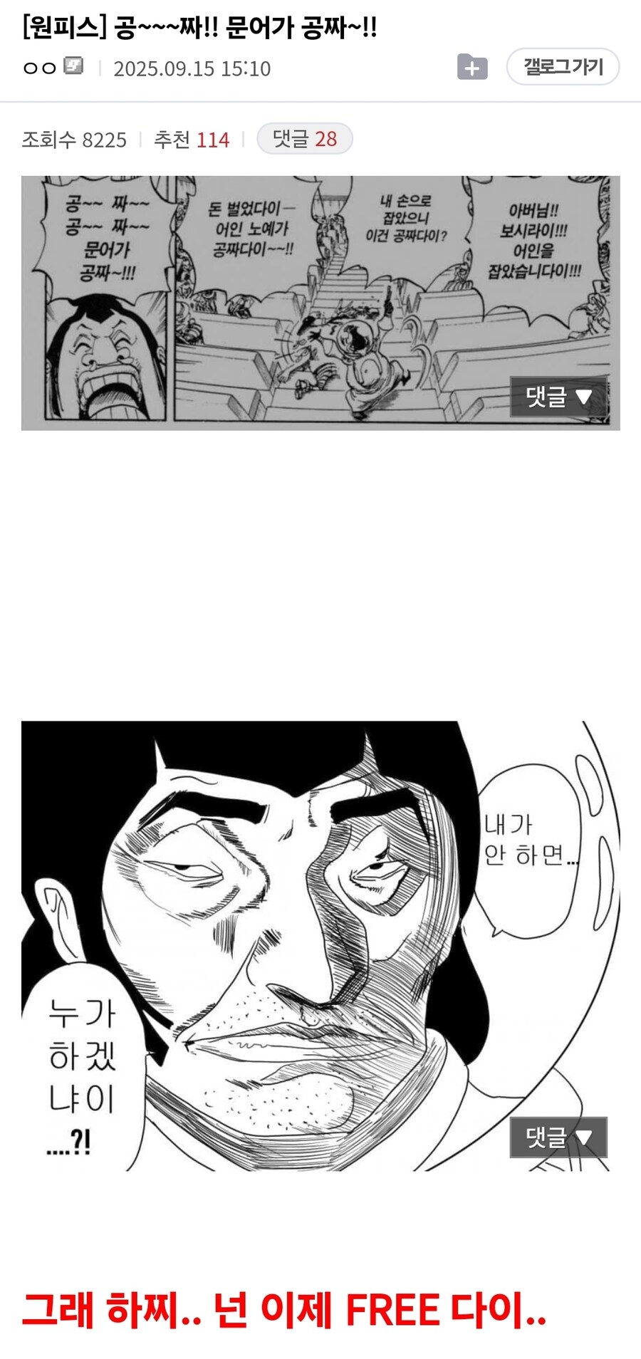 원피스 의외로 번역미스였던 것_1.jpg