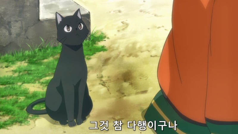 플라잉빗치) 집에 객식구가 늘어나고 있는 여자초등학생_11.jpg
