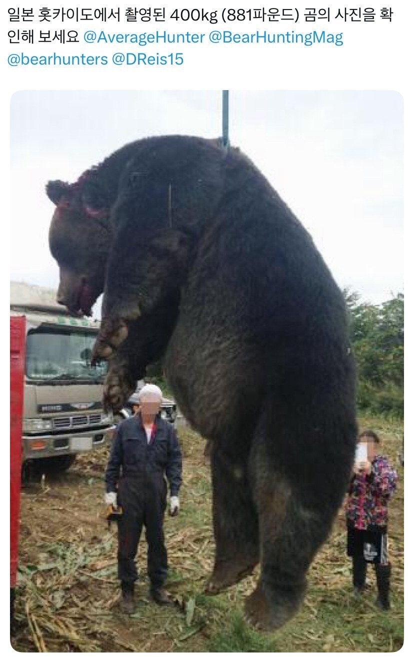 홋카이도에서 잡은 400KG 곰_1.png