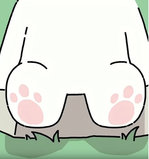 중국에서 목격되는 도로롱 진화현상_2.png
