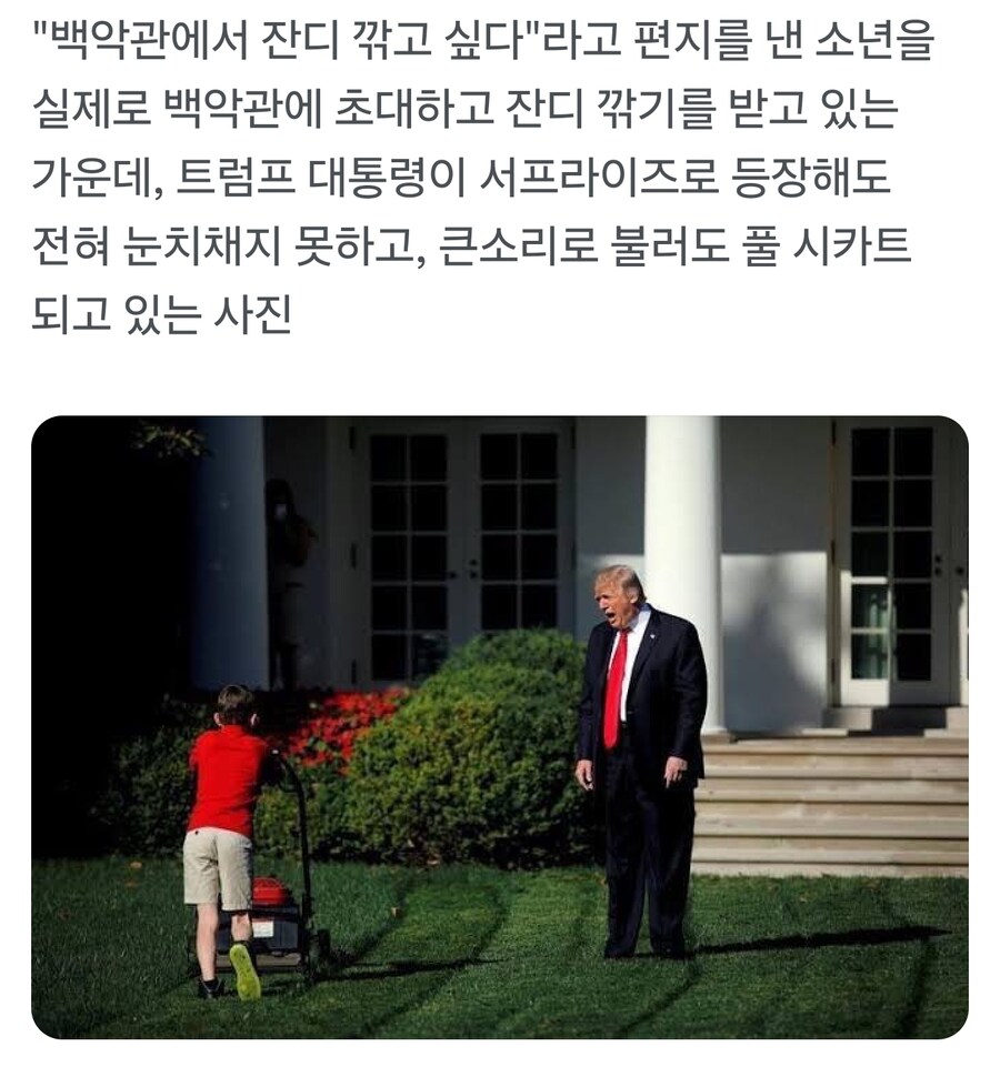 소년 : 백악관에서 잔디 깎고 싶어요!!!_1.jpg