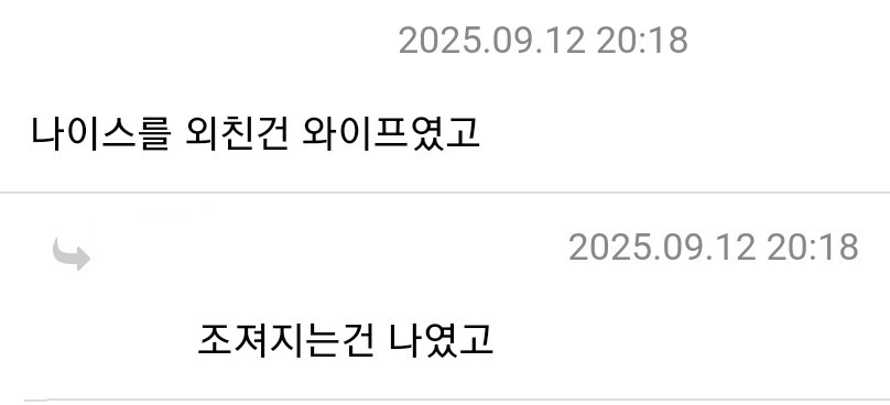 나이스 와이프 여행감 ㅋㅋ_2.jpg