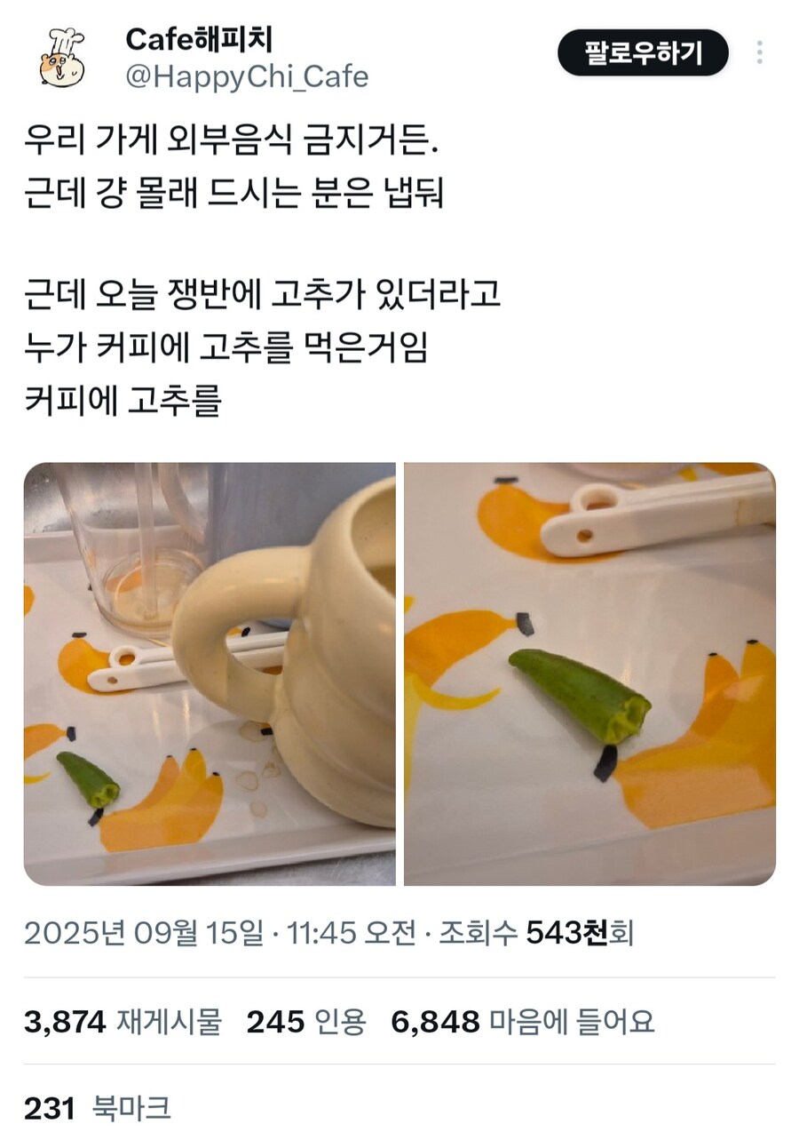 신개념 손님이 나온 카페_1.jpg