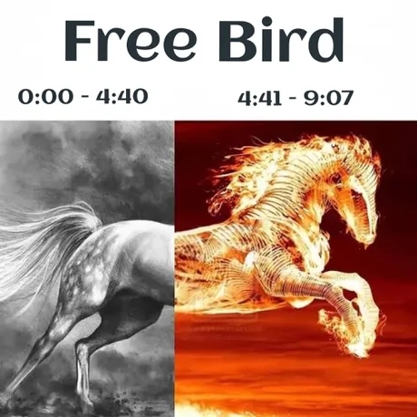 레너드 스키너드 프리 버드 특_1.webp
