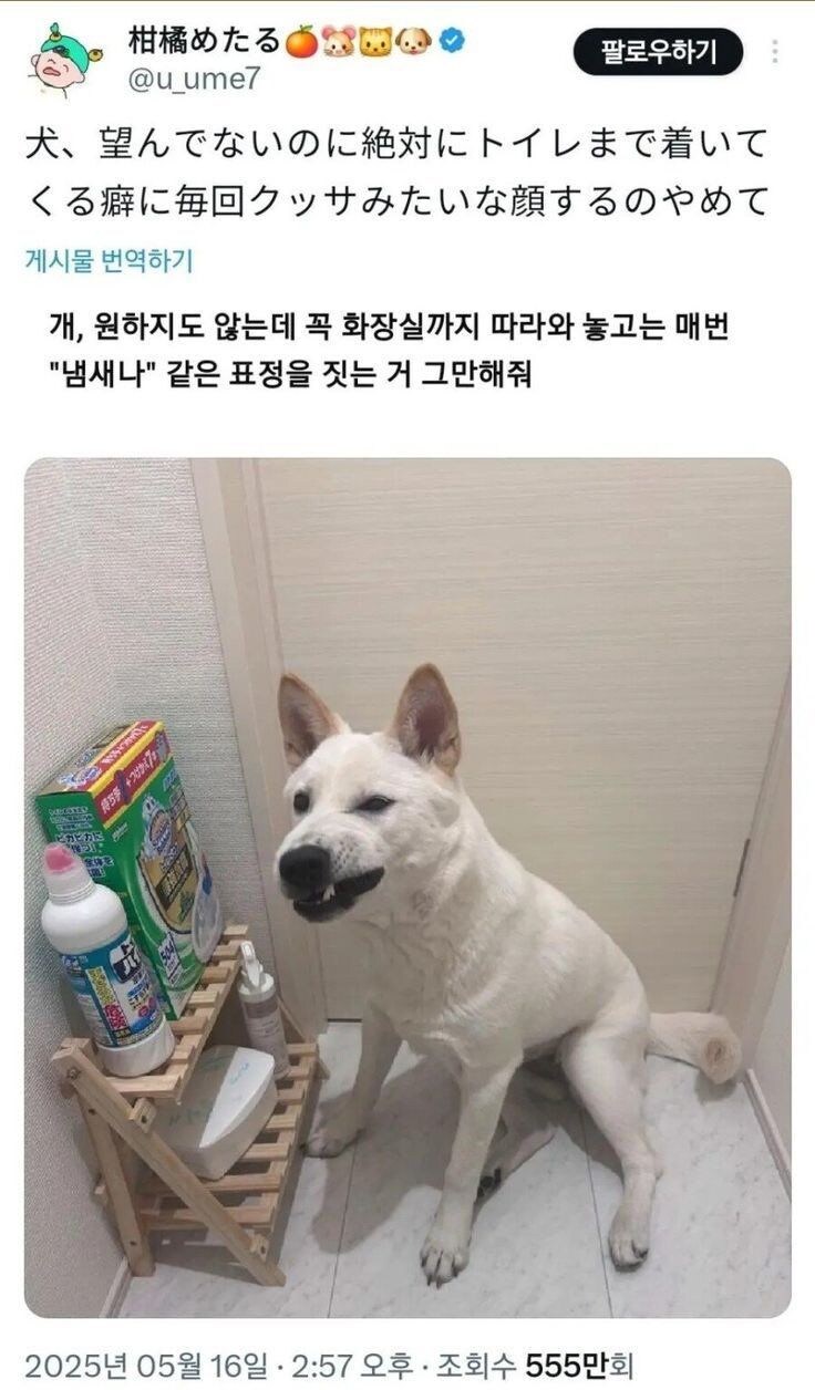 주인쉑 뭘 쳐먹은거냐_1.jpg