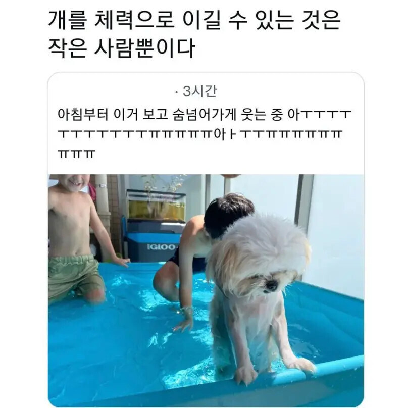 살려주시개_1.jpg