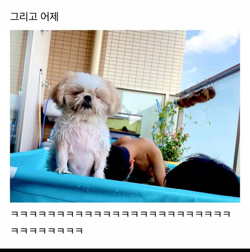 살려주시개_2.jpg