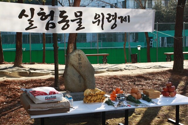 과학과 미신이 공존하는 순간_1.jpg