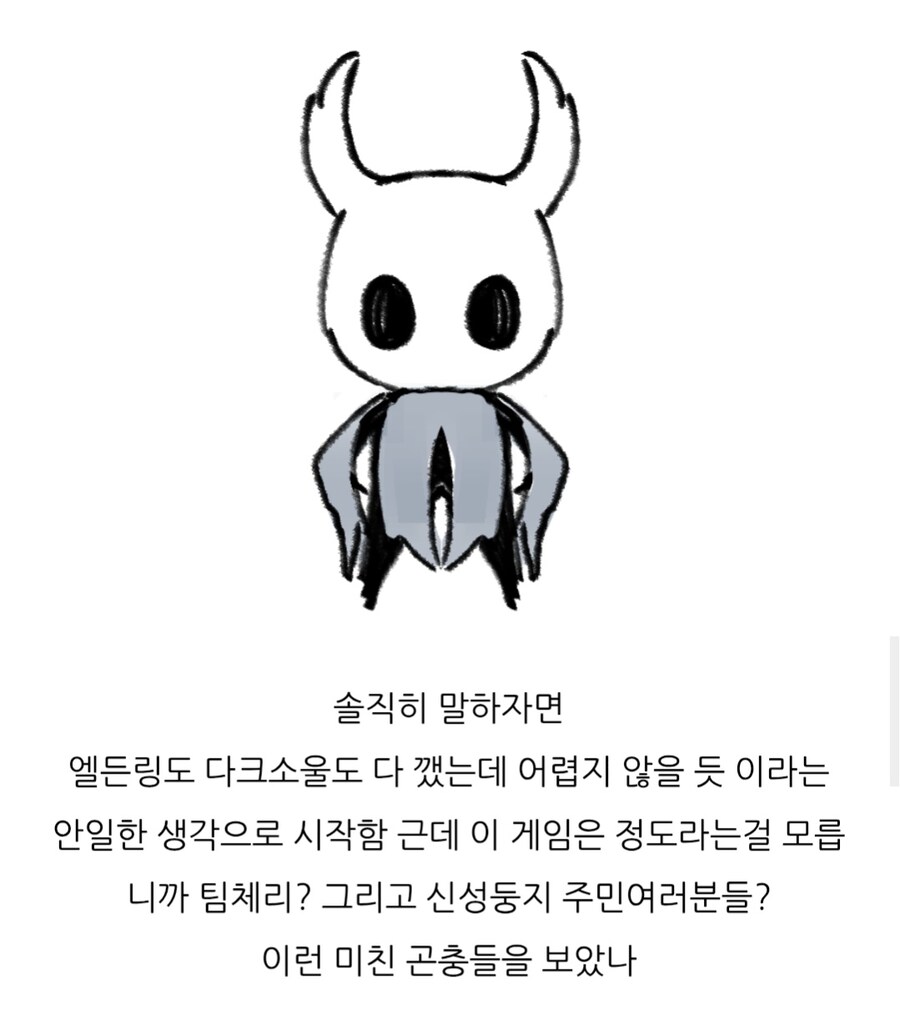 할로우 나이트 처음 시작한 뉴비가 쓴 후기_1.jpg