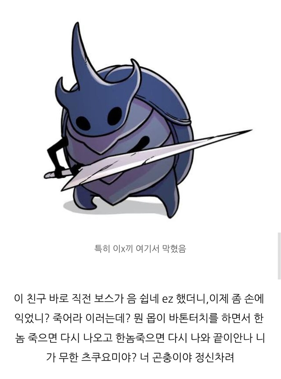 할로우 나이트 처음 시작한 뉴비가 쓴 후기_2.jpg