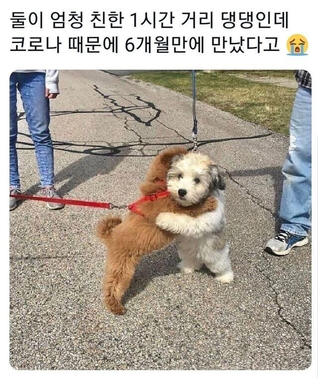 어이구! 박씨!! 살아있었네!!_1.jpg