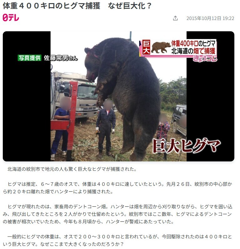 옥수수가 살찌는데 직빵이라는 증거_2.jpg
