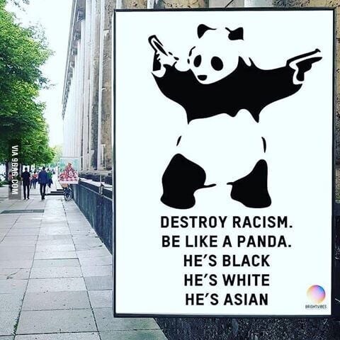 인종통합의 상징 판다.jpg_1.jpg