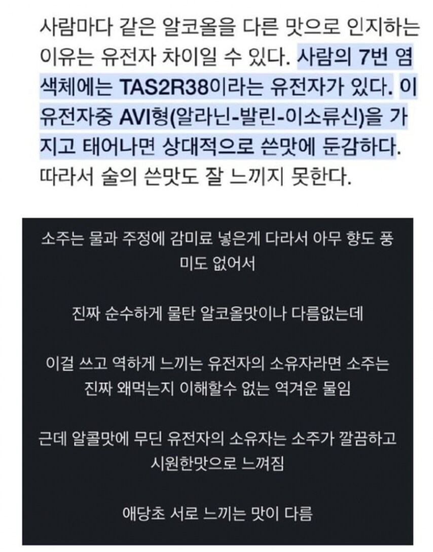 소주가 맛없다고 느꼇던 이유를 찾음_1.png
