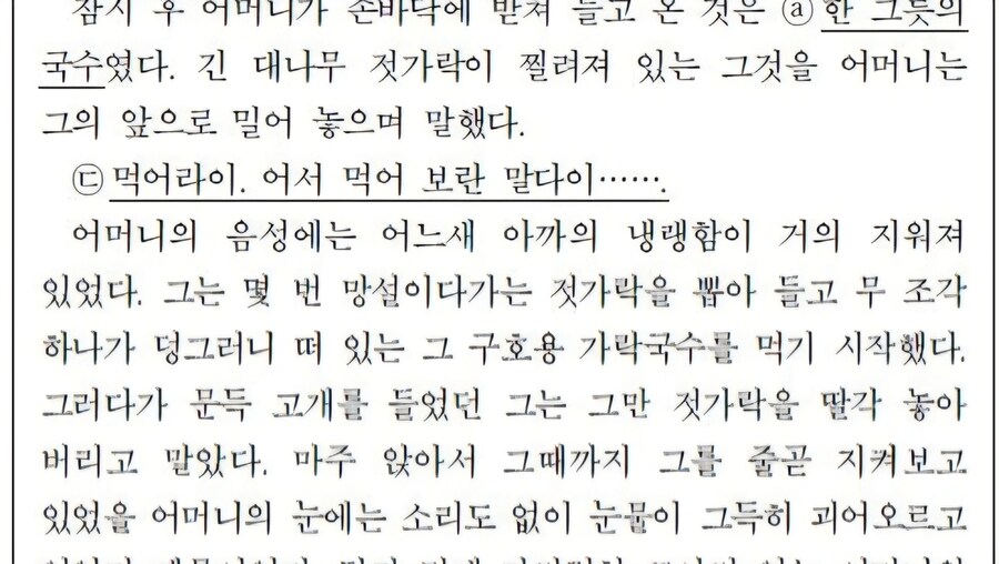 원피스 도황 문학_2.jpg