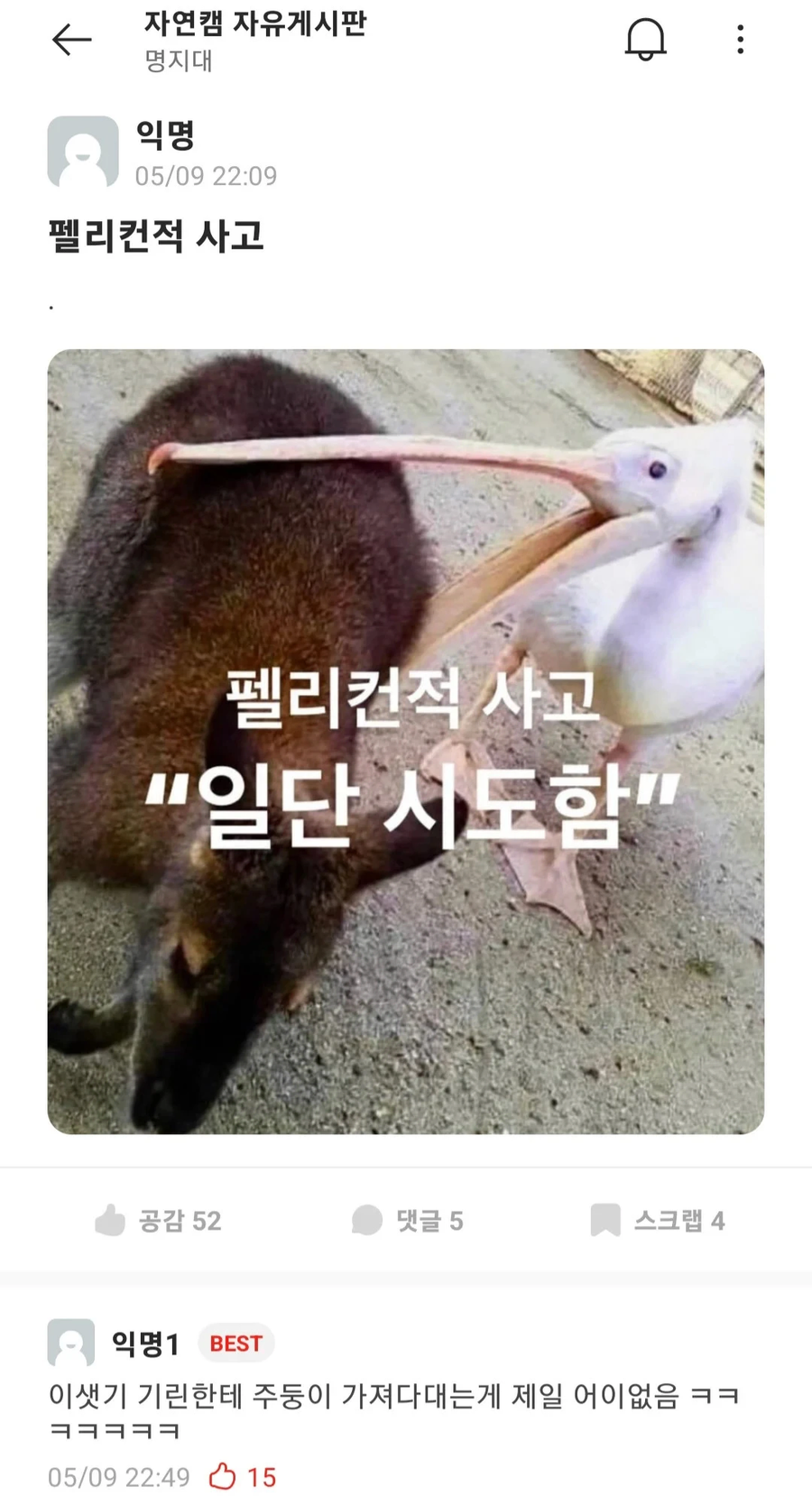 펠리컨적 사고방식_1.webp