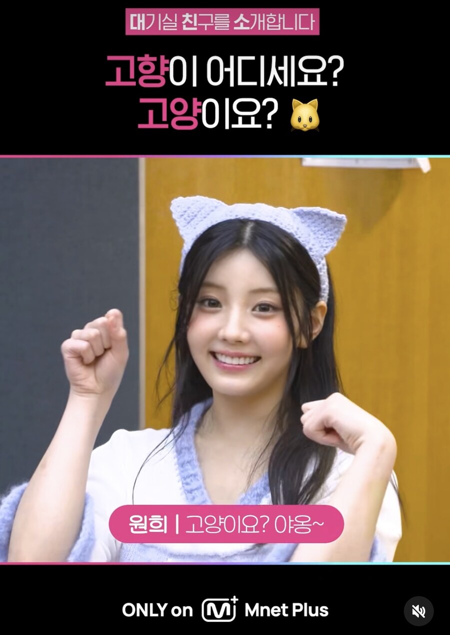 아일릿 원희 야옹_2.jpg