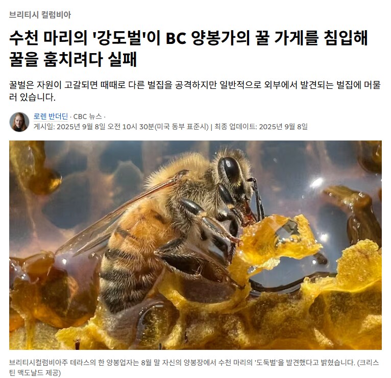 어느 캐나다 양봉장에서 벌어진 꿀 강탈 사건_1.png