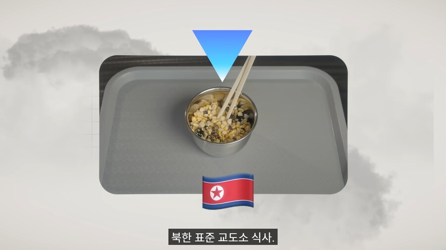 미국 변호사가 리뷰한 북한 교도소 밥.jpg_1.png