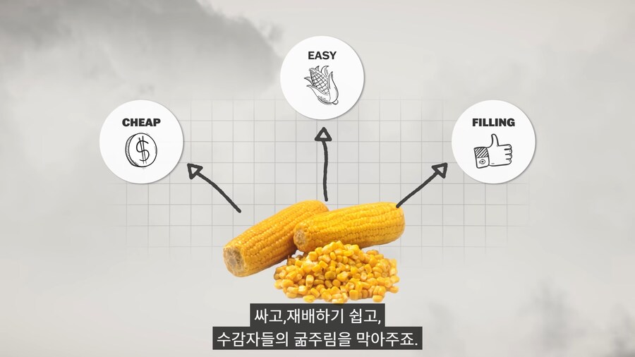 미국 변호사가 리뷰한 북한 교도소 밥.jpg_3.png