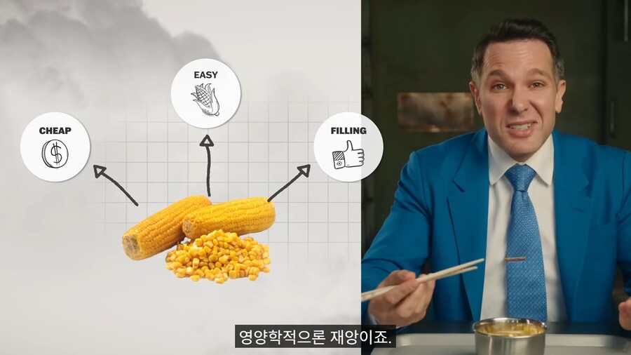 미국 변호사가 리뷰한 북한 교도소 밥.jpg_4.png