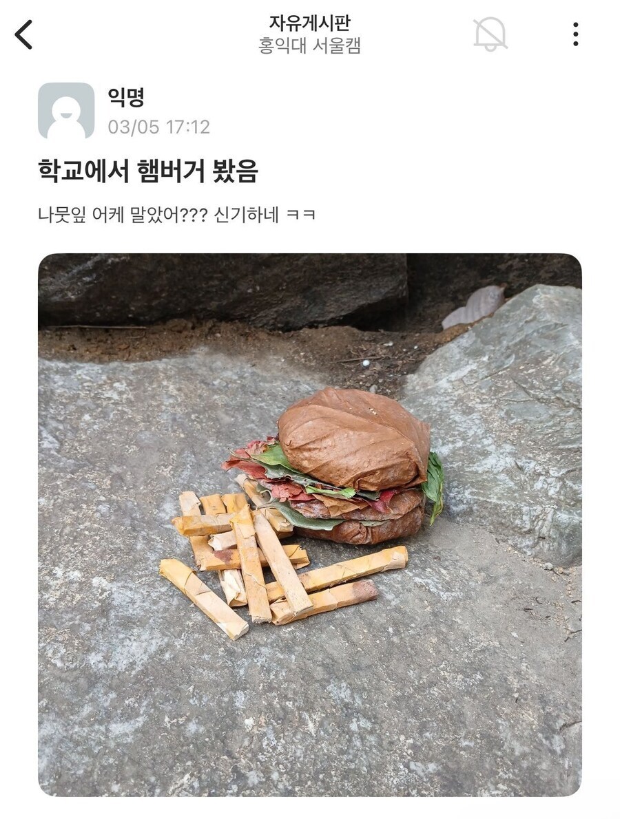 학교에서 햄버거 봤음_1.jpg
