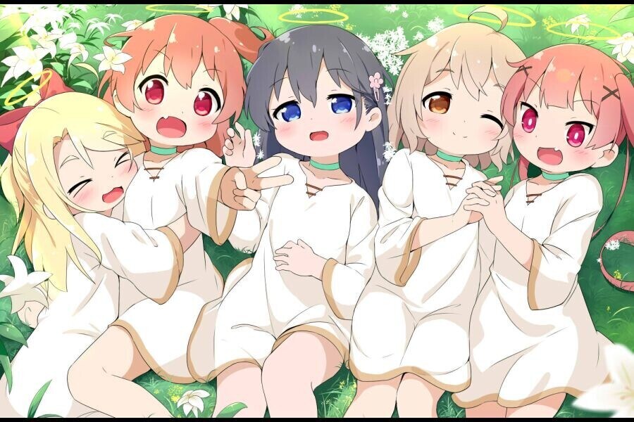 모닝글로리_3.jpg