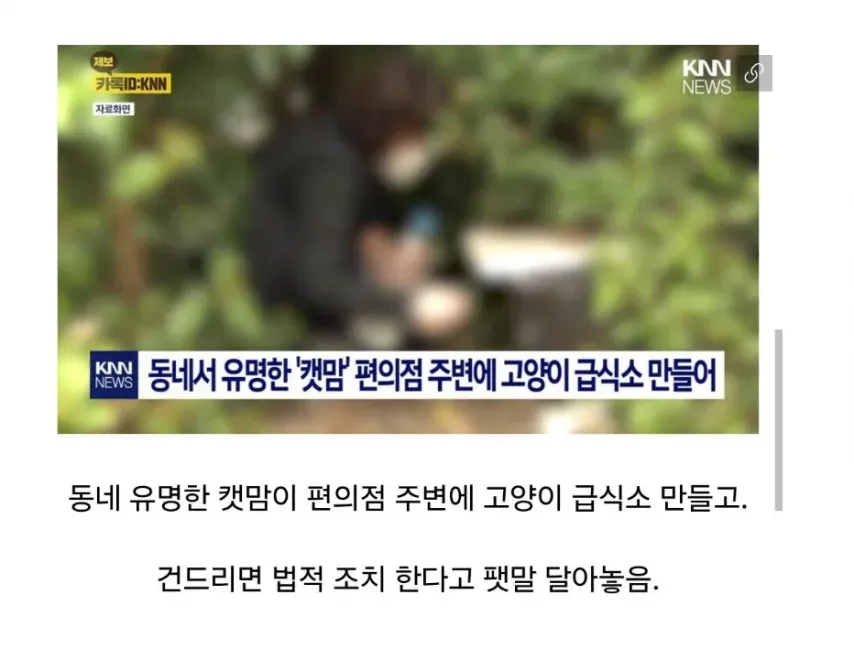 고양이 급식소에 대항하는 제일 유일한 방법은_1.webp