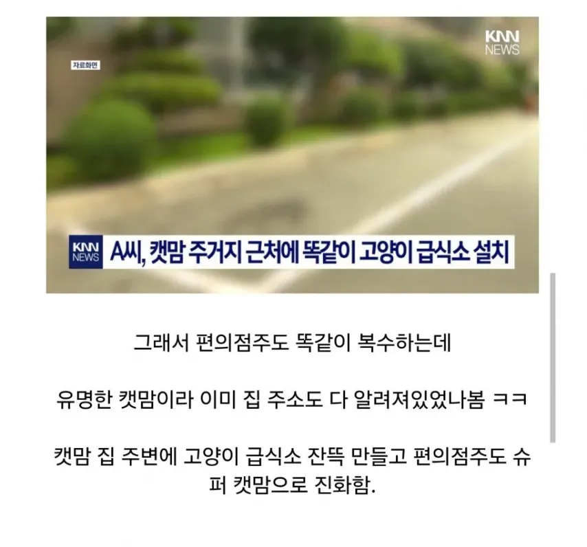 고양이 급식소에 대항하는 제일 유일한 방법은_3.webp