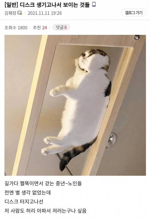 허리디스크 파열되고 나서야 보이는 것들...jpg_1.jpg