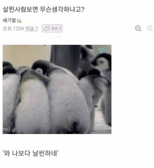 살찐사람보면 무슨생각하냐고?_1.jpg