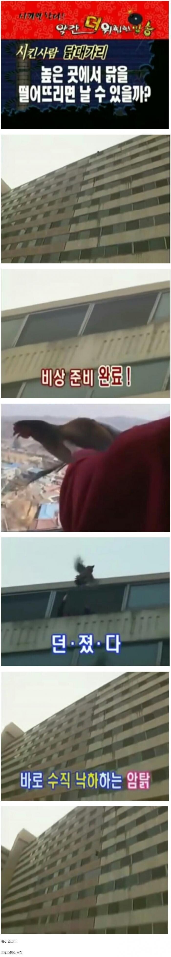 광기의 2000년대 과학프로그램 ㄷㄷ_1.jpg